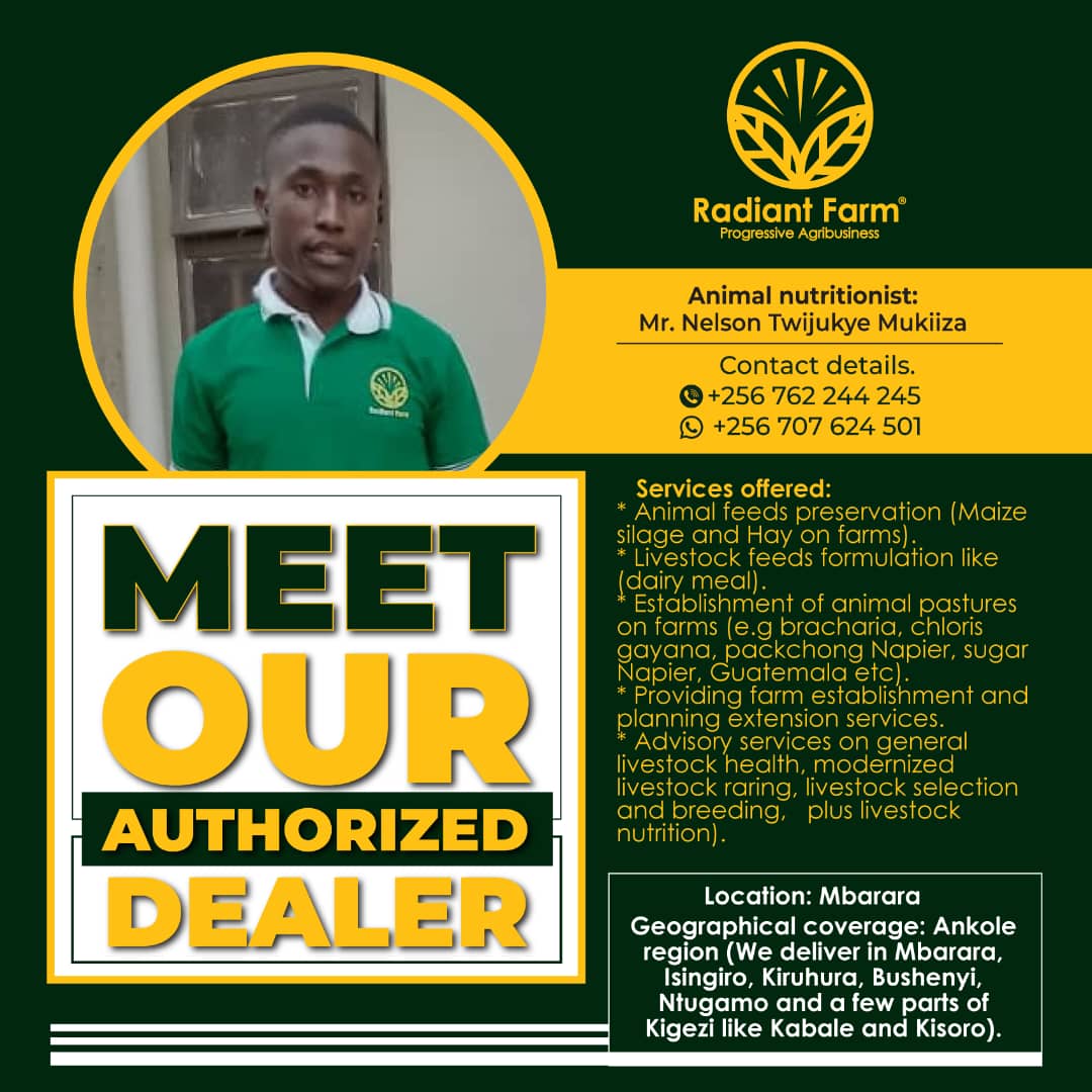 Mr. Nelson Twijukye Mukiiza