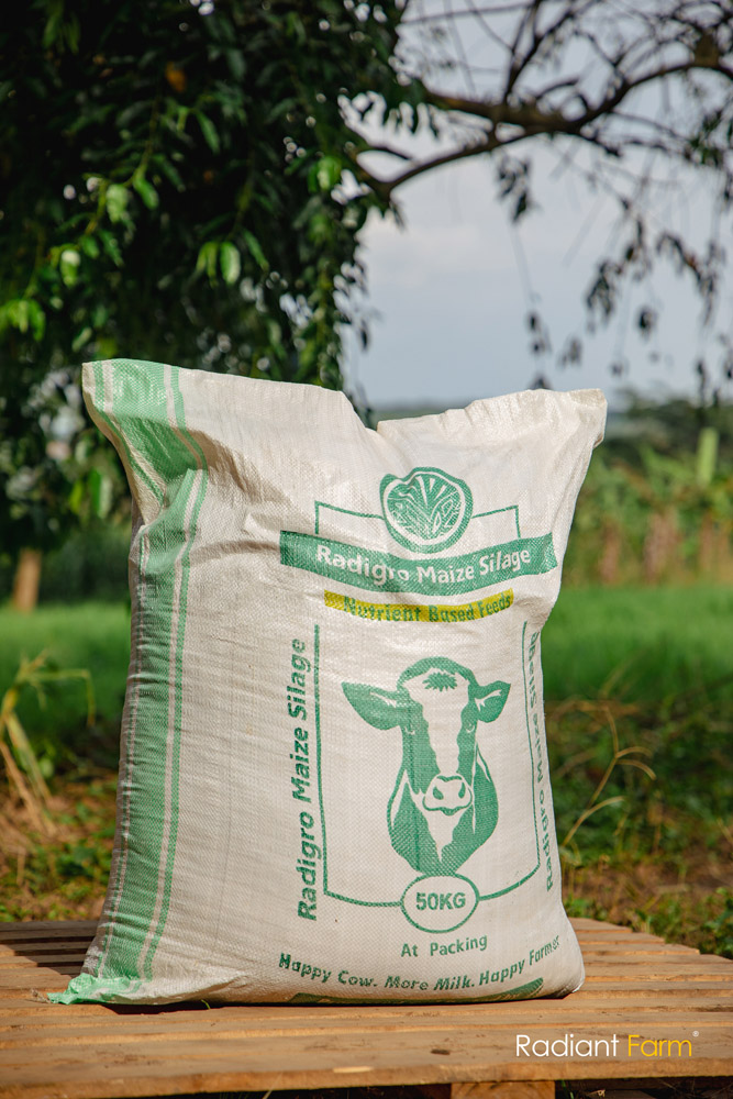 Radigro - Bagged Maize Silage